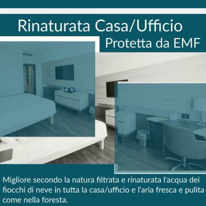  Casa Rinturata